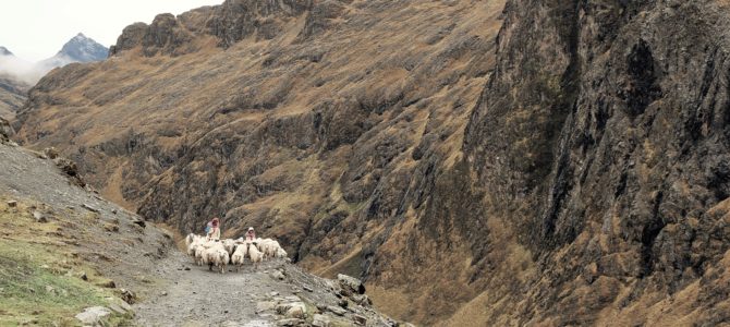 El Choro : de l’enfer au paradis